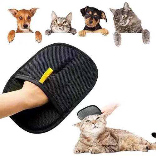 https://ynhrnsmwlsrihguevngr.supabase.co/storage/v1/object/public/assets/medias/ece6c395-5f11-4a8a-8c8e-7fa8d3d82365.webp